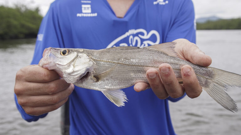 DSC06507_PesqueSolte_GabrielMarchi (1)